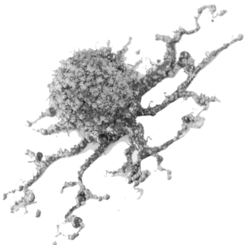 Cancer & Oncology Nursing NCLEX Practice Quiz 